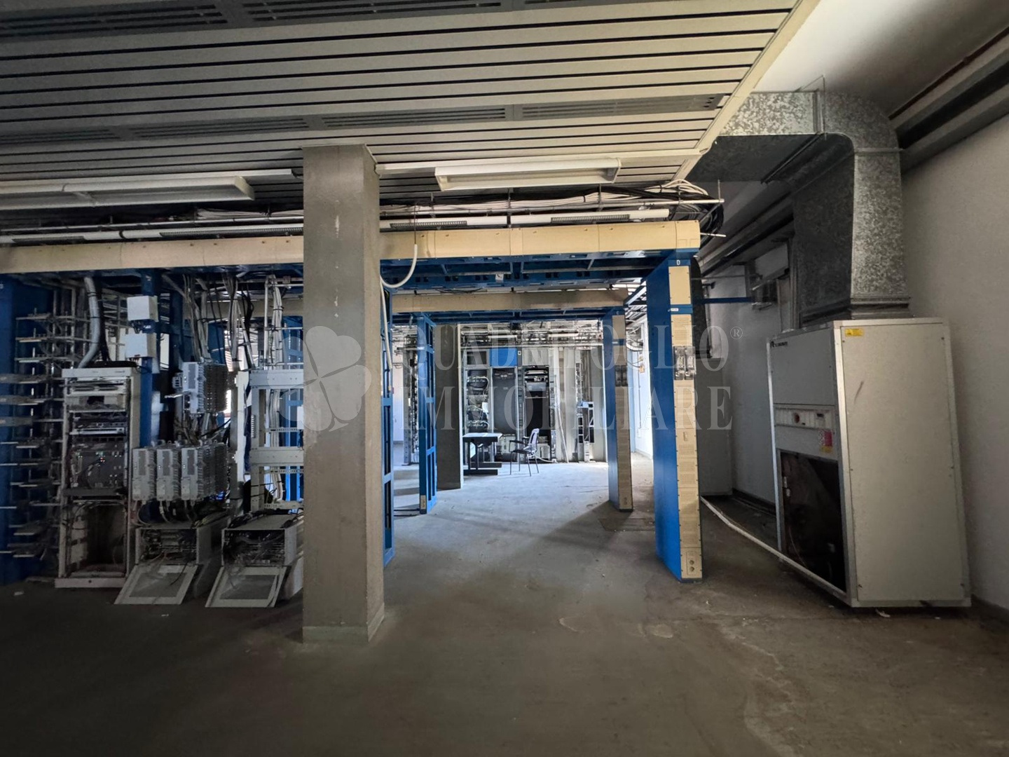 Montalto fibercop VIT16-c5Go Montalto di Castro – Via delle Spugne