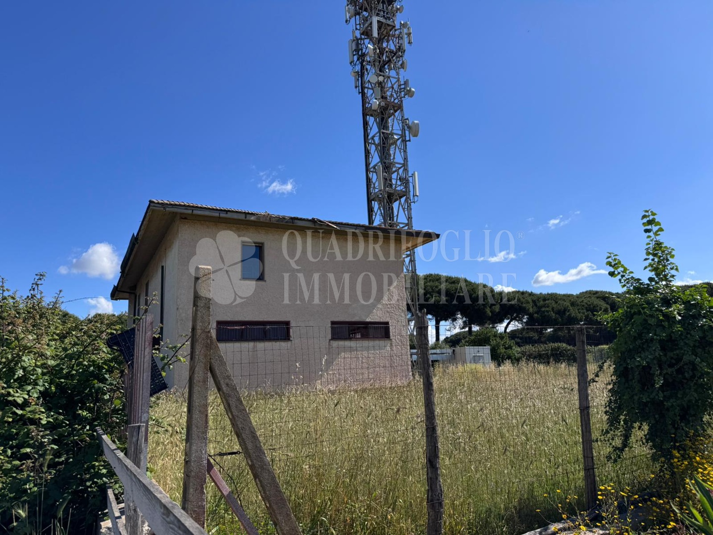 Montalto fibercop VIT18-c5Go Montalto di Castro – Via delle Spugne