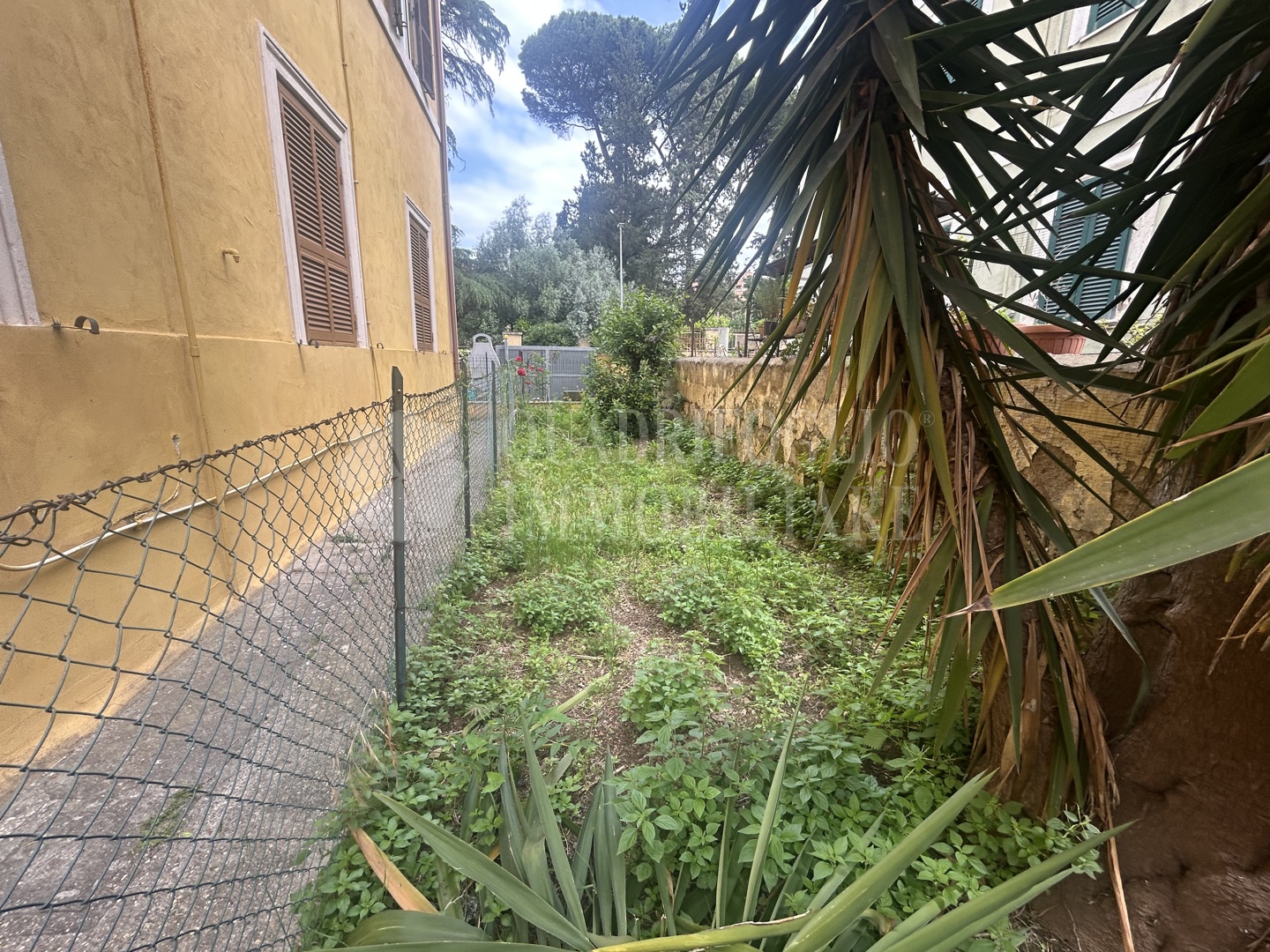 Roma, Alessandrino – Viale della Bella Villa