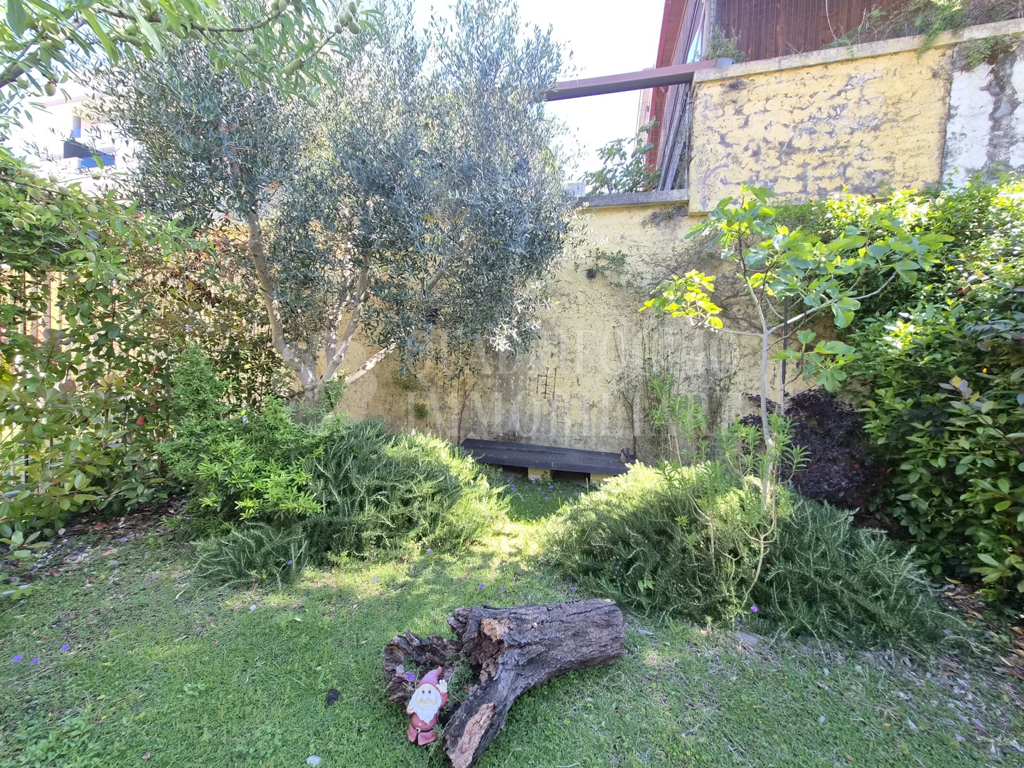 mod2 RDR04-54Fp Roma, Selva Candida – Via Ettore Rosso