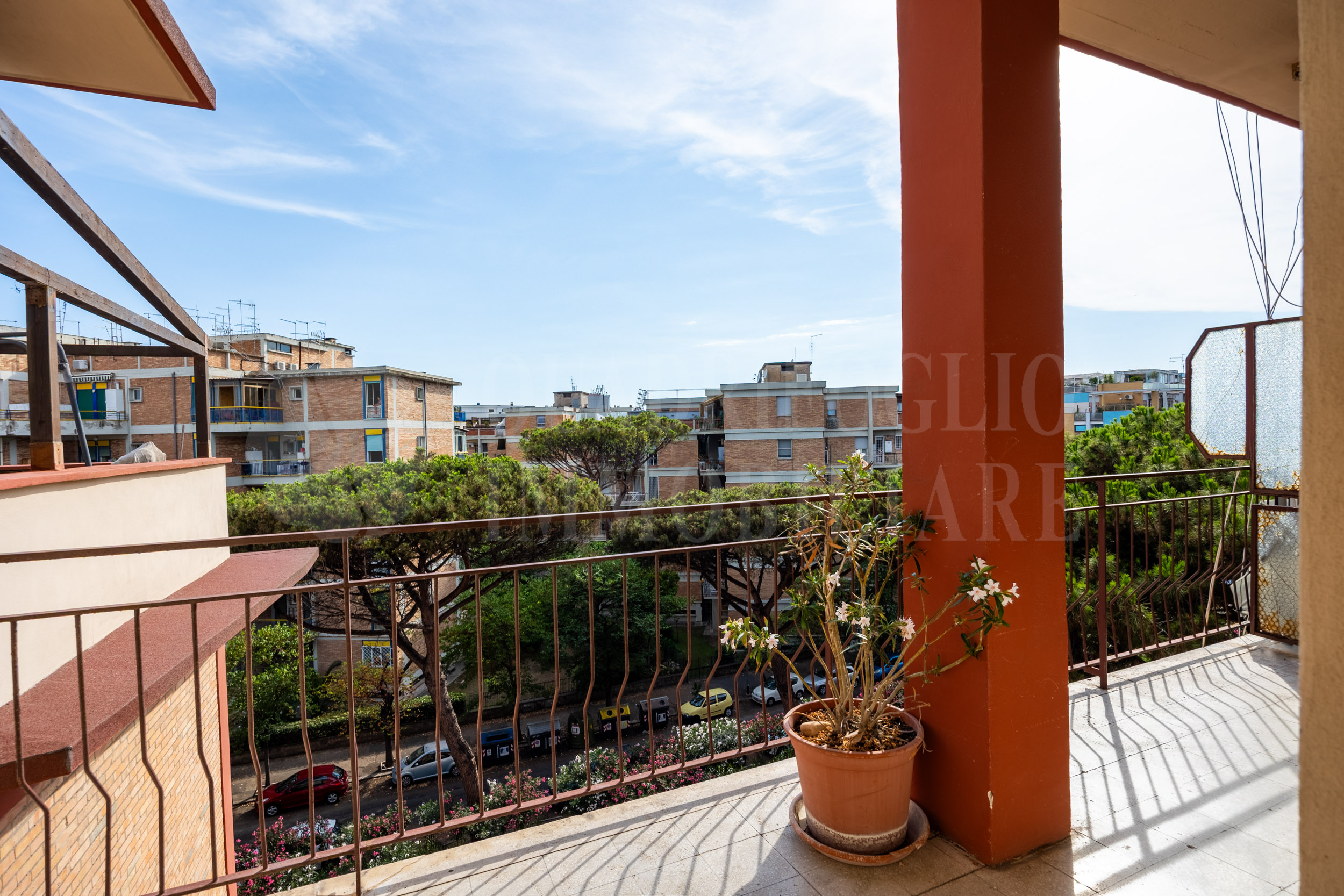 15 – Affaccio sul verde Ostia, Levante Pineta- Via Ferdinando Acton