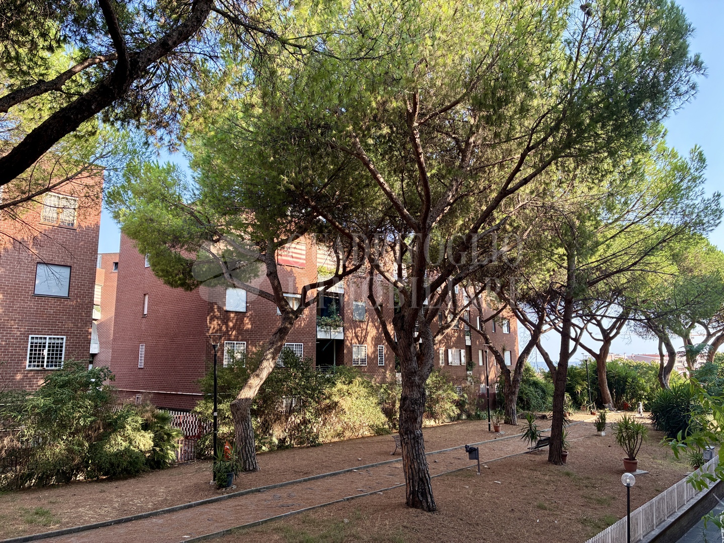 HH GAR14-JGzo Roma, Portuense/Trullo – Via Lanfranco Maroi