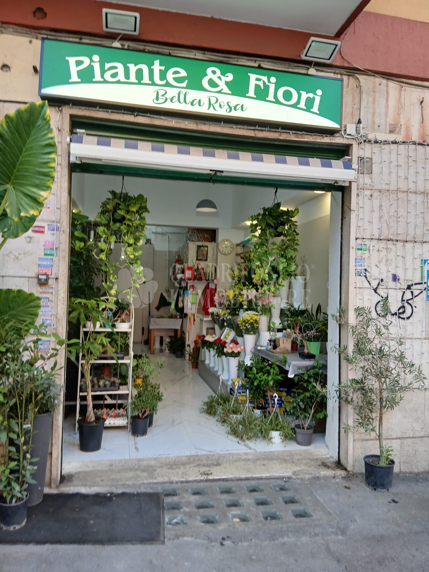 renzodacerifiori BUL01-obUp Roma, Prenestino – Via Renzo da Ceri