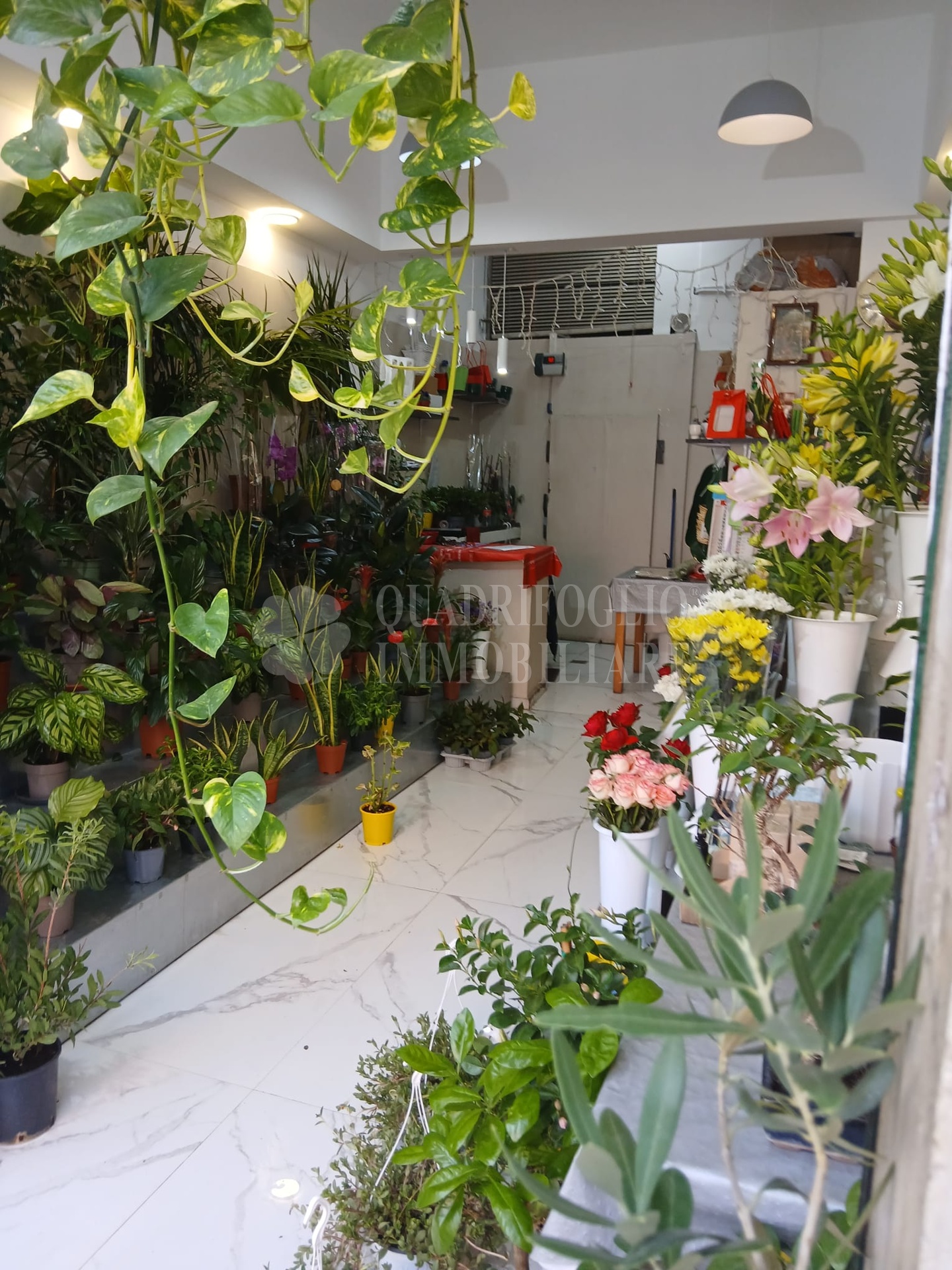 renzodacerifiori BUL03-obUp Roma, Prenestino – Via Renzo da Ceri
