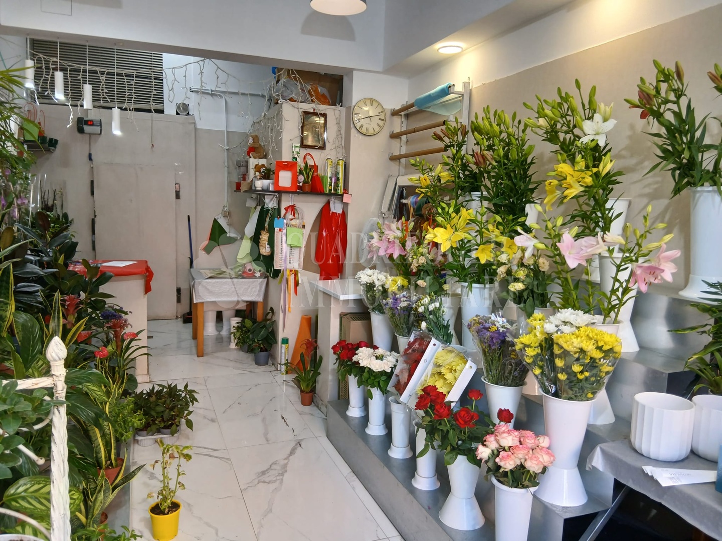 renzodacerifiori BUL05-obUp Roma, Prenestino – Via Renzo da Ceri