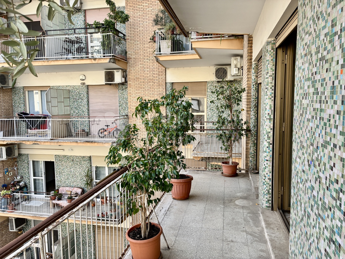 Roma, Garbatella – Via Prospero Alpino