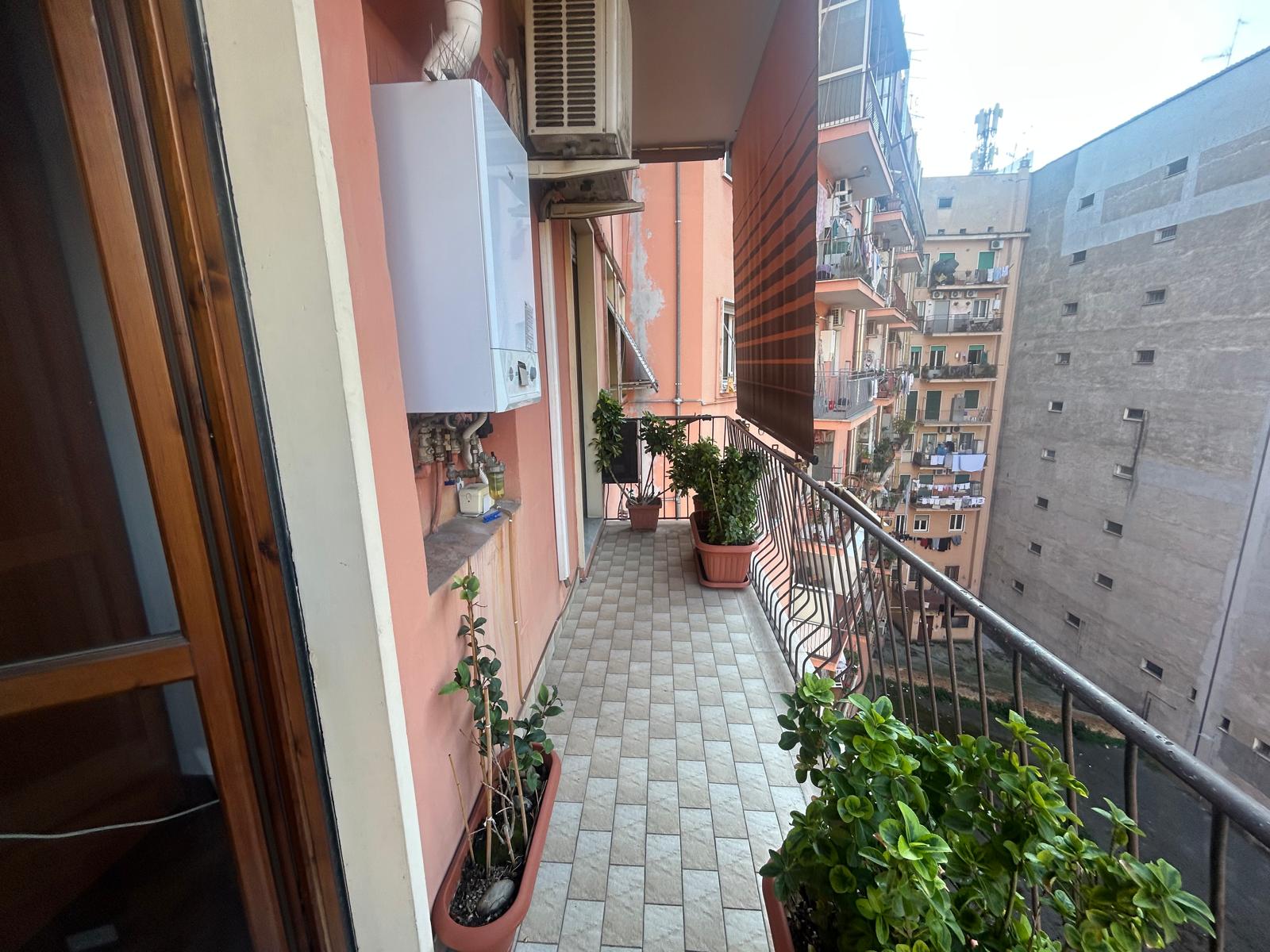 ae039b3b-116a-4fa5-81dd-6d97f132a480 Roma, Casalbertone – Via Giuseppe Arimondi