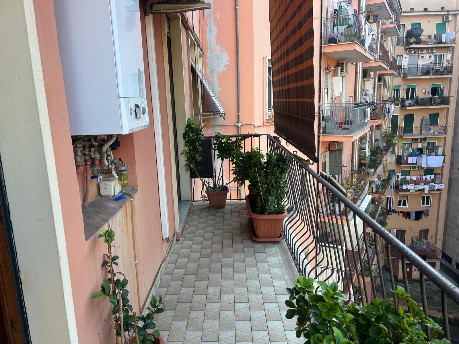 ccebbd62-77ba-4bfa-bbaf-ad5e99b7d9a6 Roma, Casalbertone – Via Giuseppe Arimondi
