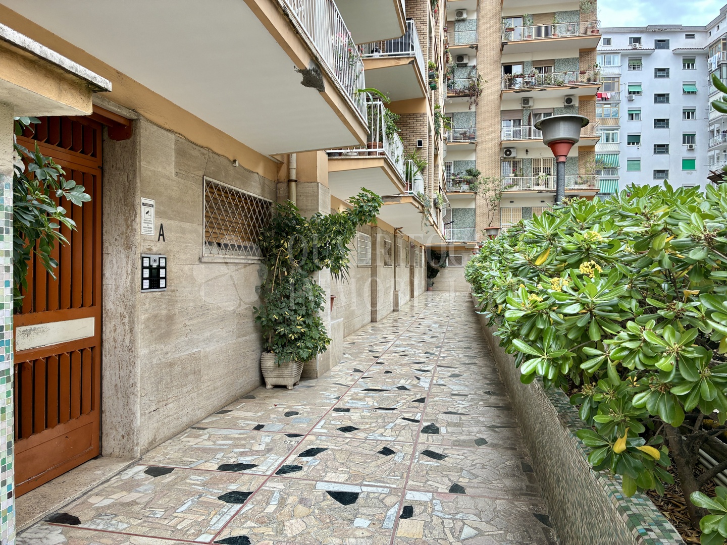Roma, Garbatella – Via Prospero Alpino