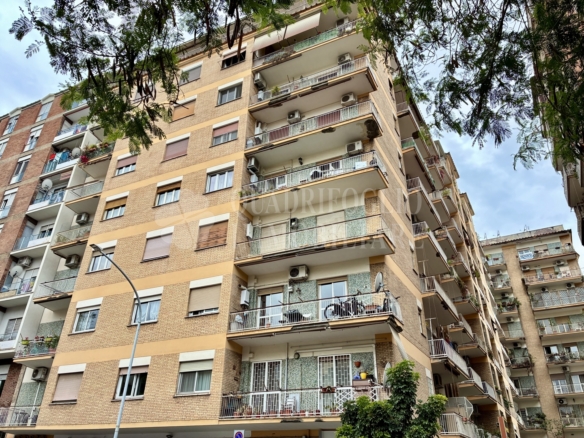 Roma, Garbatella – Via Prospero Alpino