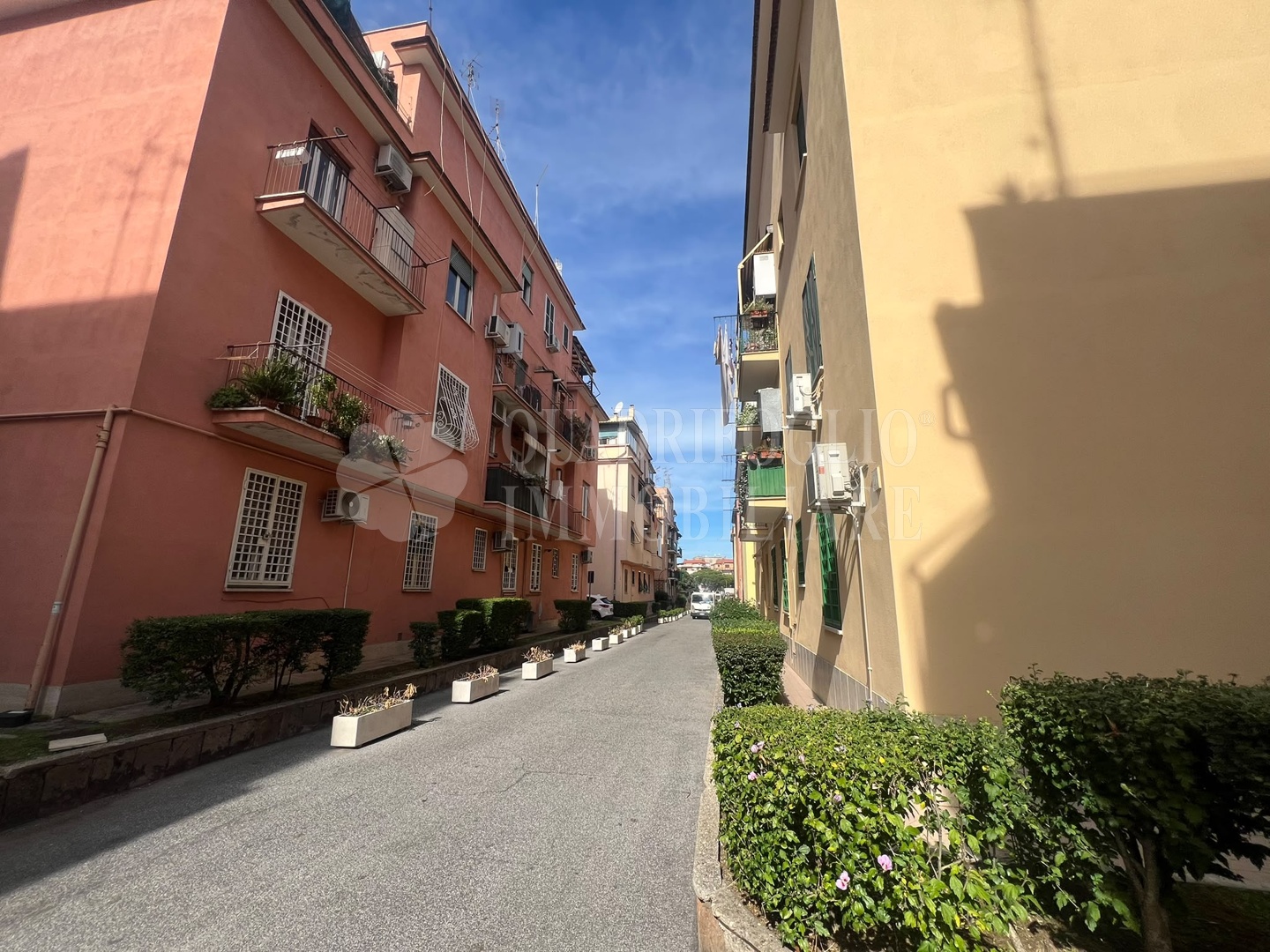 nn RDR12-Nw9q Roma, Centocelle – Via dei Ciclamini