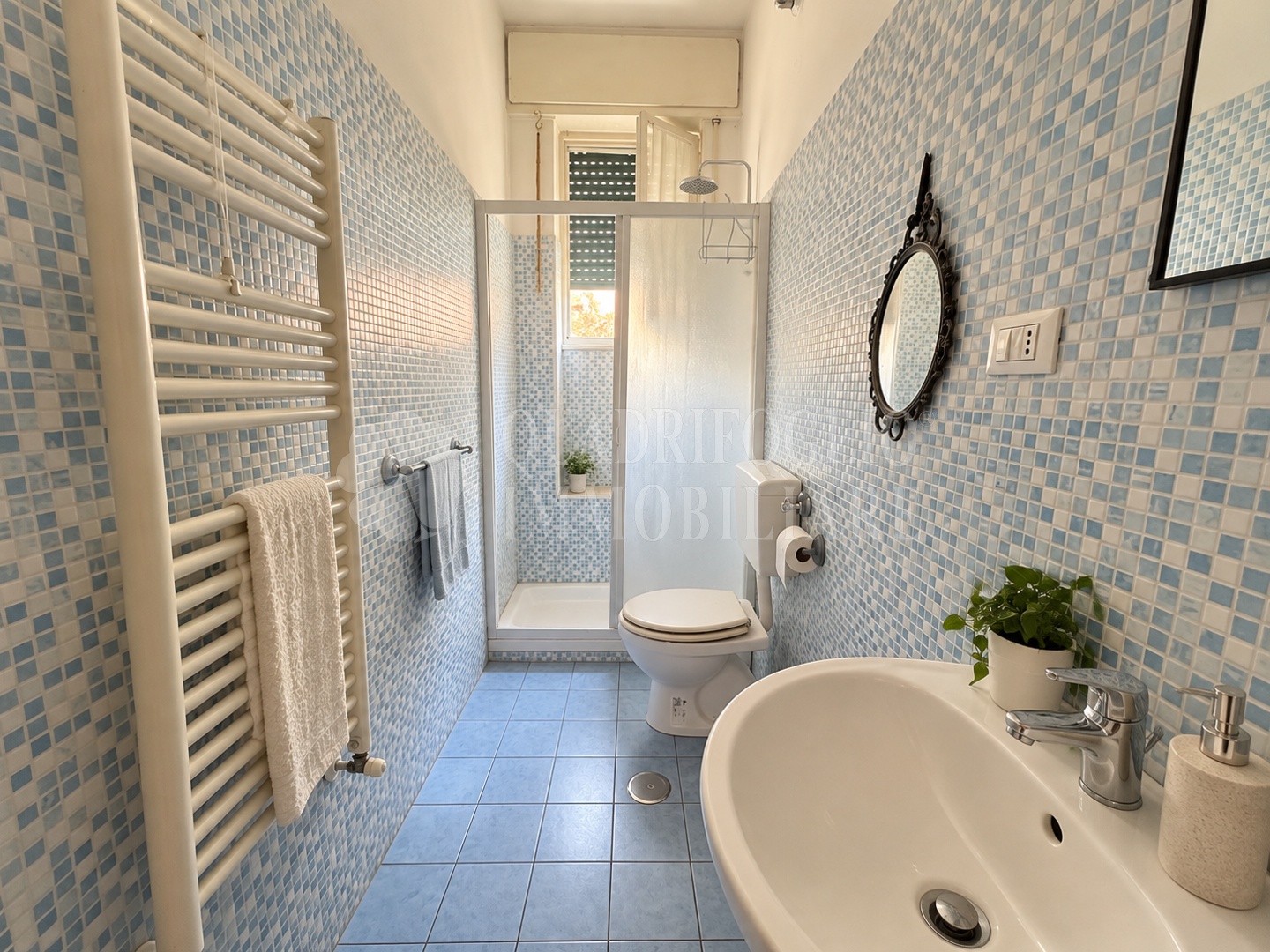 nn RDR14-Nw9q Roma, Centocelle – Via dei Ciclamini