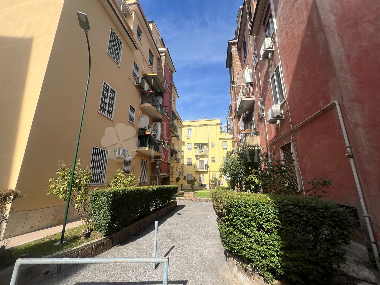 nn RDR15-Nw9q Roma, Centocelle – Via dei Ciclamini