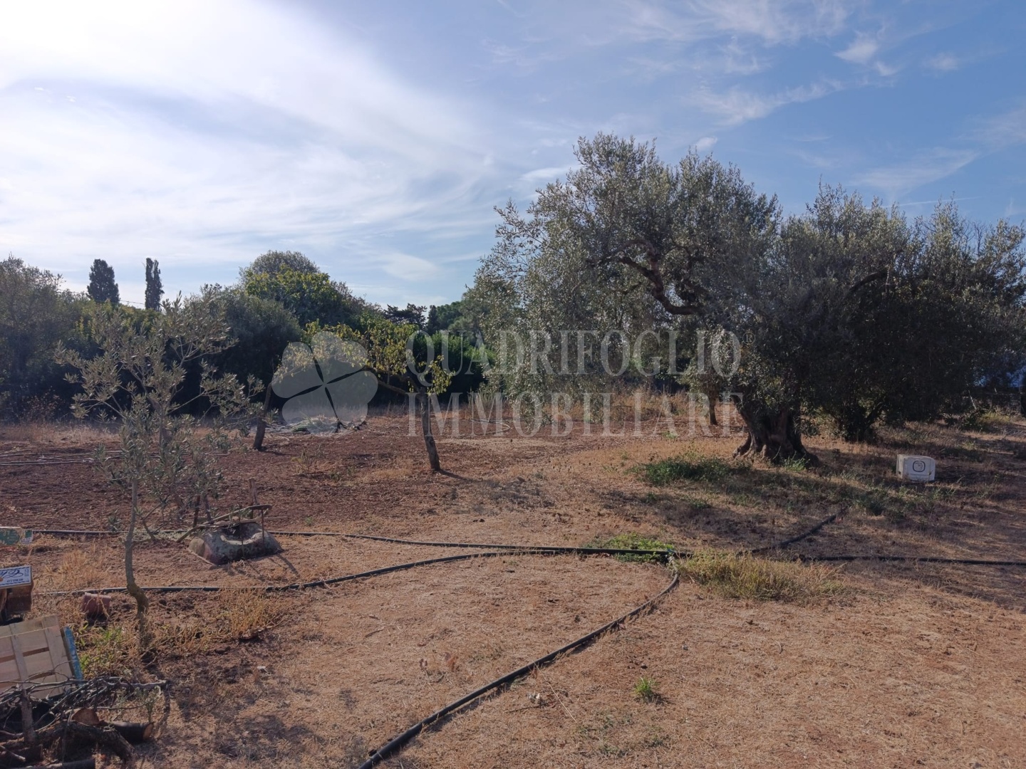 via murruzzulu 3 AHO07-uJF2 Sassari – Via Murruzzulu